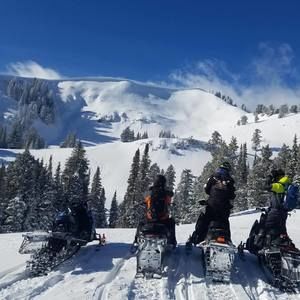 Meet your Posher, Devin